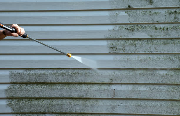 Solar Panel Cleaning in Mount Angel, OR